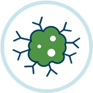 Advanced melanoma trial icon